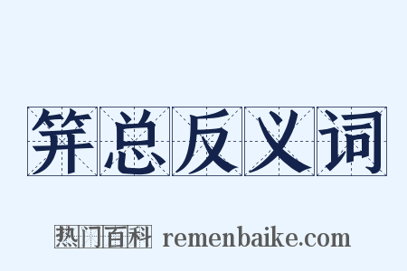 笄总反义词是什么意思的图片